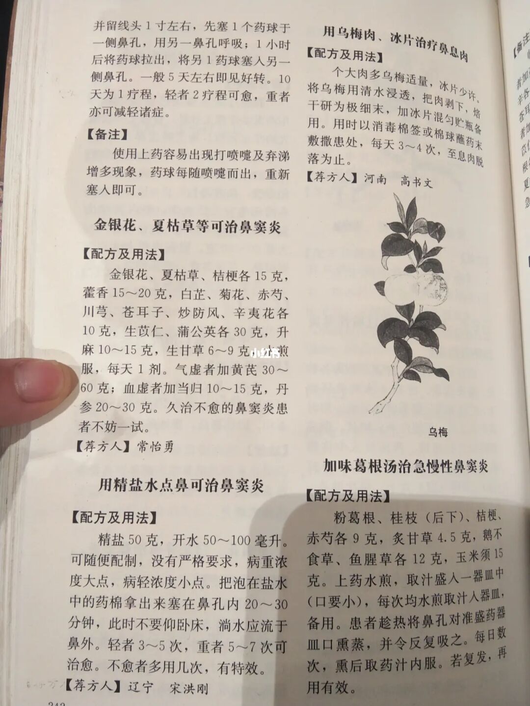 治疗鼻窦炎的偏方大全_鼻窦炎偏方_鱼腥草治鼻窦炎的偏方