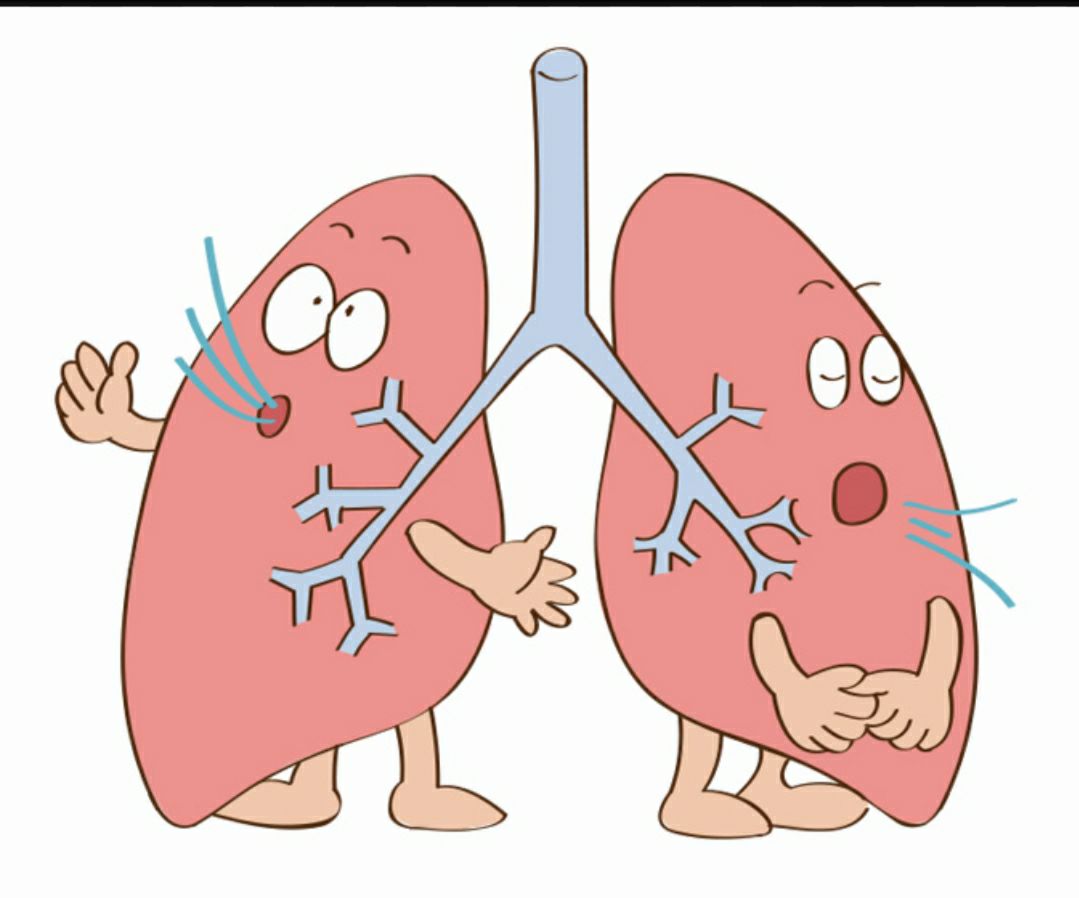 肺上有结节治疗偏方_肺癌症晚期患者的偏方_肺气肿偏方