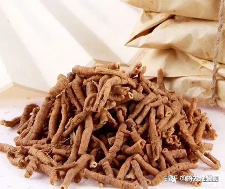 年过40的震颤患者,这3种中药泡水喝可以抵抗衰老 中药面膜祛斑使斑加重_如何使语文课堂更加有语文味_一味中药使男人更坚硬