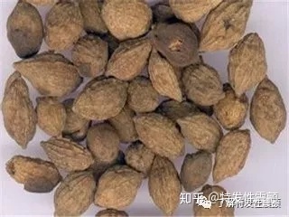 年过40的震颤患者,这3种中药泡水喝可以抵抗衰老 如何使语文课堂更加有语文味_一味中药使男人更坚硬_中药面膜祛斑使斑加重