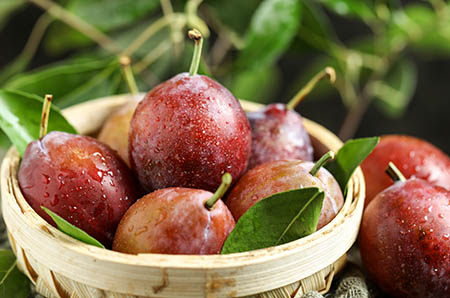 孕妇咳嗽吃什么能止咳_咳嗽止咳秘方_半夜咳嗽如何快速止咳