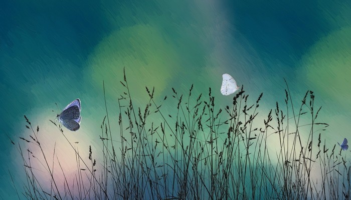 妊娠剧吐老中医治好了 妊娠剧吐的最佳秘方