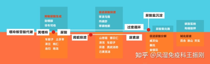 尿酸高吃什么能降尿酸_尿酸高偏方_尿酸高和甘油三酯高吃什么