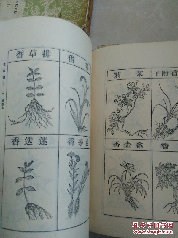 李时珍本草纲目秘方大全_李时珍本草减肥秘方_香港李时珍药业本草膏