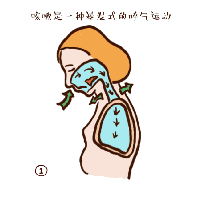 治咳嗽最好的偏方_偏方治咽炎咳嗽_治咽炎咳嗽有什么偏方