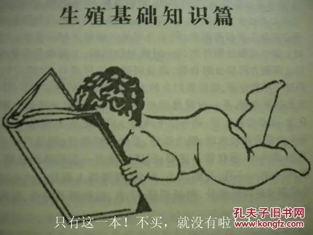 5、(包生男孩):怎样才能生男孩啊？准确率高的方法是哪个？