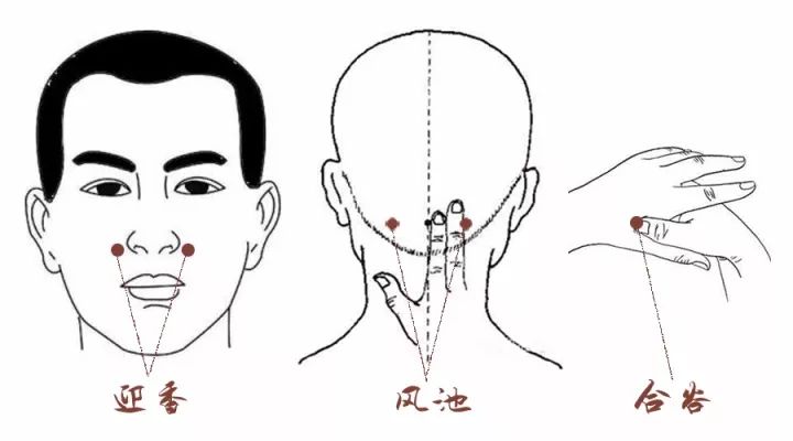 通过按摩穴位可以治疗鼻塞 - 333文库