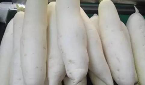 白萝卜和它一起炖,抗癌,降三高,预防感冒!来年不怕病 白萝卜和它一起炖,抗癌,降三高,预防感冒!来年不怕病