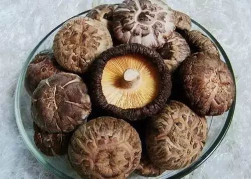 白萝卜和它一起炖,抗癌,降三高,预防感冒!来年不怕病 白萝卜和它一起炖,抗癌,降三高,预防感冒!来年不怕病