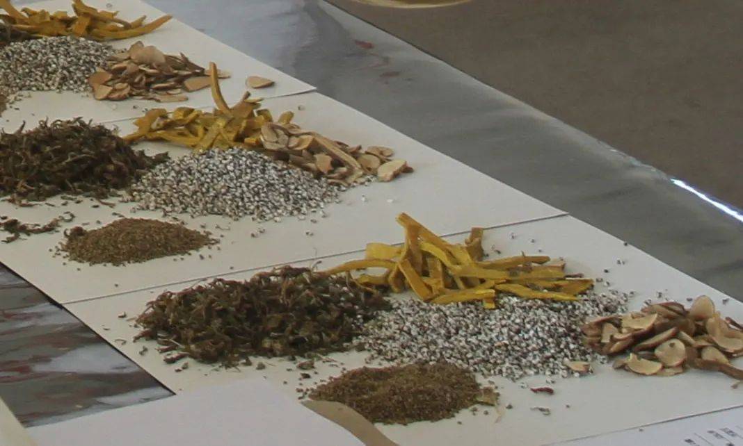 单方验方偏方 民间验方单方偏方_民间验方秘方偏方大全_中草药民间单方验方大全