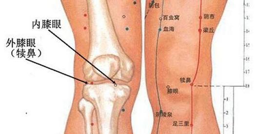 风湿关节炎的怎么根治_膝反张能根治吗_根治各种膝关节病偏方