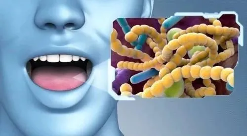 口臭的类型及中医治疗偏方_口臭的原因和治疗偏方_口臭的治疗偏方