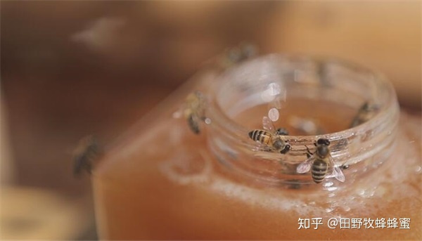 鸡蛋治咳嗽偏方_治小儿夜间咳嗽的偏方_治胃病偏方鸡蛋皮方法