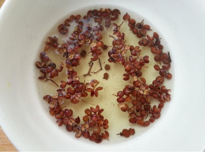 脸上长斑的偏方_脸上长斑怎么办_脸上长斑小偏方