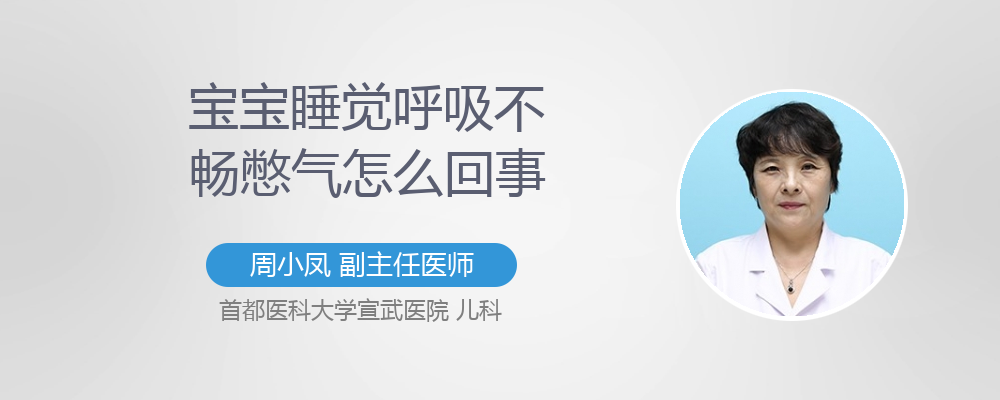 猫呼噜呼噜是什么意思_打呼噜的偏方_呼噜呼噜小精灵第一季