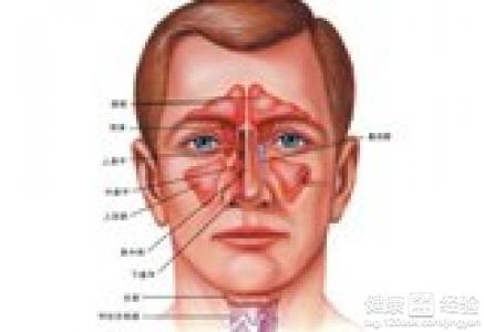 治疗鼻息肉的偏方_有效治疗鼻息肉的偏方_治疗口腔溃疡偏方 2345偏方大全