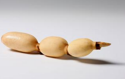 消除痘痘的偏方_去后背痘痘偏方_消除痘痘