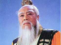 长茎飞蓬_长茎绿色植物图片_神仙长茎丹配方