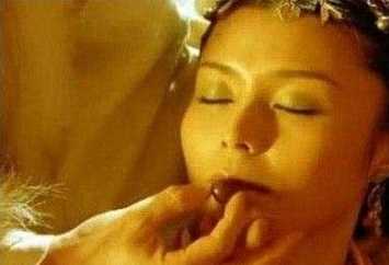 长茎飞蓬_神仙长茎丹配方_长茎绿色植物图片