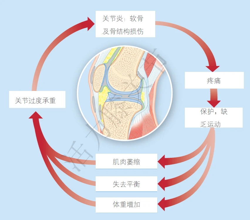 膝痹病中医护理方案_根治各种膝关节病偏方_退行性膝关节炎偏方