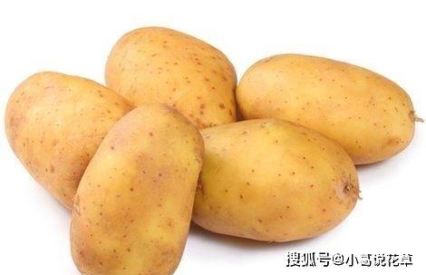 治湿疹偏方大全_治湿疹中药偏方_治手湿疹有什么偏方