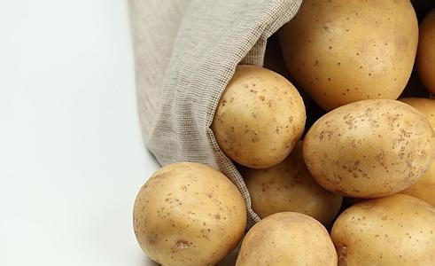 治湿疹偏方大全_治手湿疹有什么偏方_治湿疹中药偏方