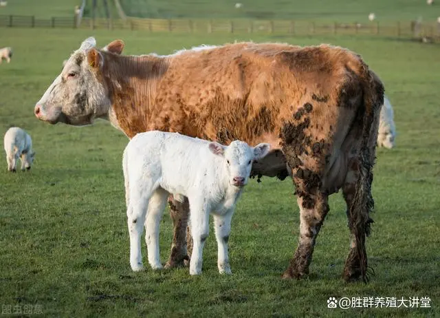 子宫炎症中药秘方_子宫炎症吃什么药_骨折中药外敷中药秘方