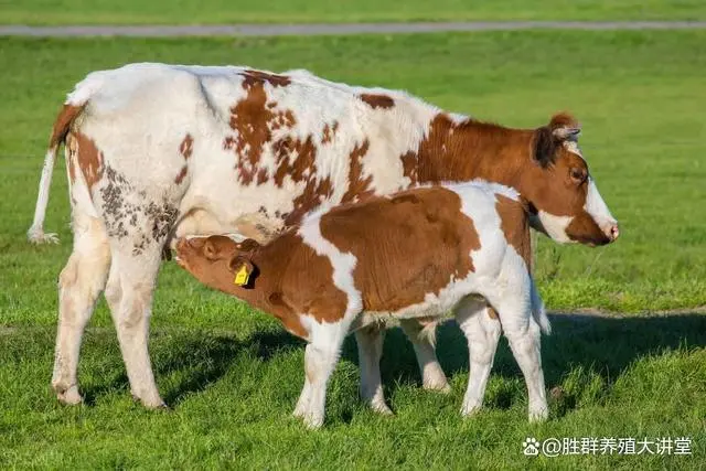 子宫炎症吃什么药_骨折中药外敷中药秘方_子宫炎症中药秘方