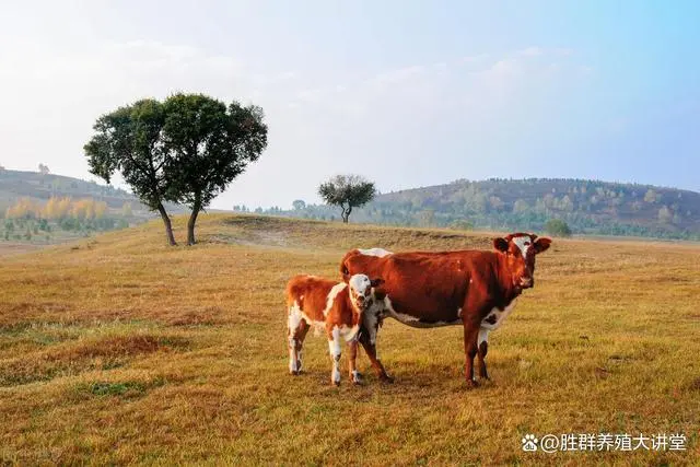 子宫炎症吃什么药_骨折中药外敷中药秘方_子宫炎症中药秘方