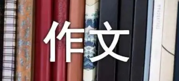 假文盲六年级作文 假文盲六年级作文