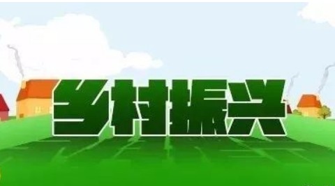 乡村振兴论文 乡村振兴论文