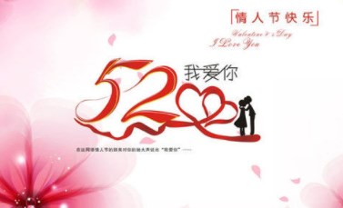 大学生520活动策划方案