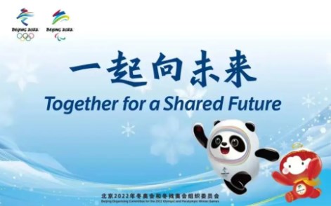 2022年残奥运会作文400字左右