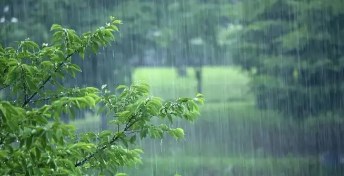 梅雨暴雨季节应急预案