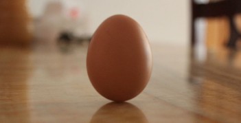 立鸡蛋的启示作文