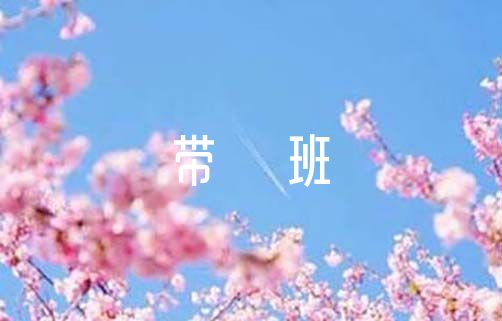 班主任带班育人方略【10篇】