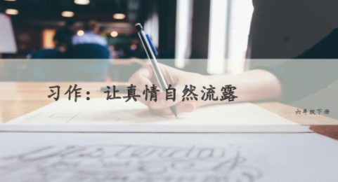 让真情自然流露六年级作文3篇 让真情自然流露六年级作文3篇
