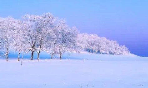 雪景小学作文