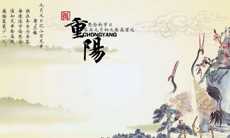 有关重阳节作文汇总 有关重阳节作文汇总