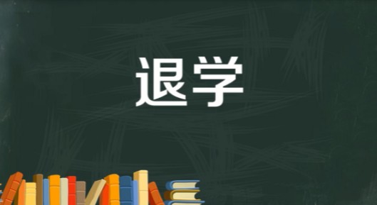 关于退学的处理决定决定