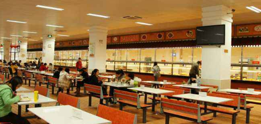 冬至节包饺子作文