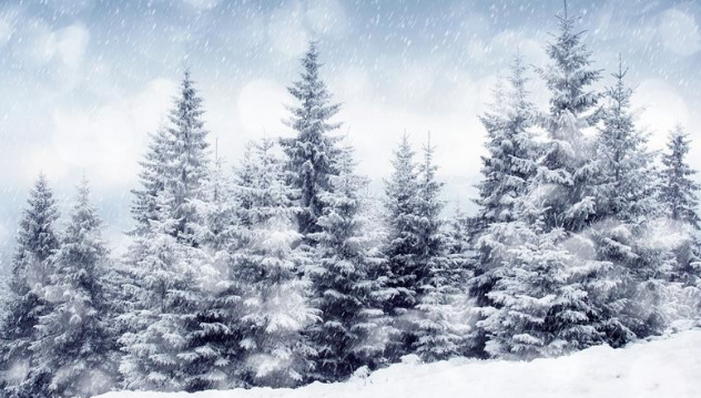 立冬雪景色作文 立冬雪景色作文