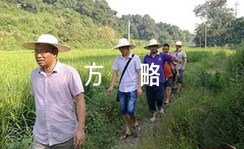 小学班主任带班育人方略5000字范文(精选5篇)