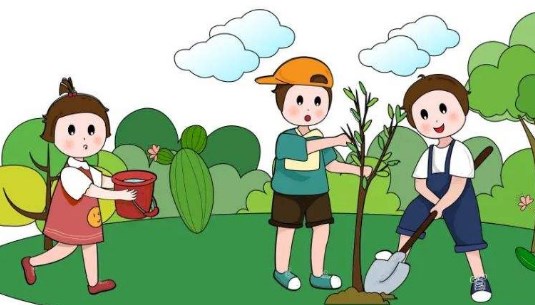 3.12植树节幼儿园创意活动汇报