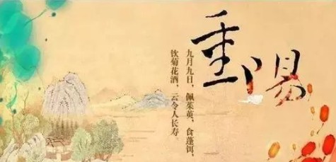 重阳节优秀作文最新三篇