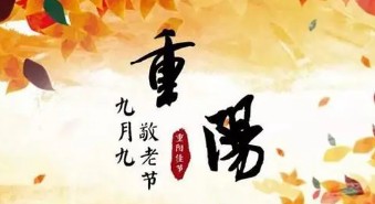 热门重阳节作文300字合集