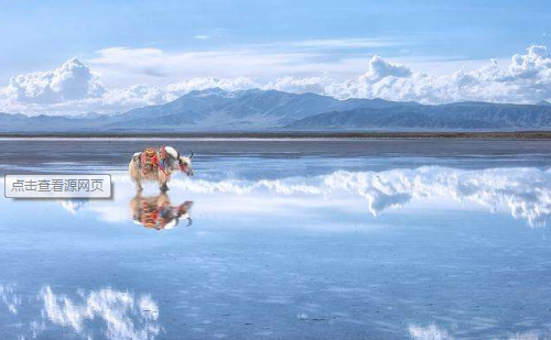 【龟兔赛跑的启示作文600字】龟兔赛跑小学作文600字