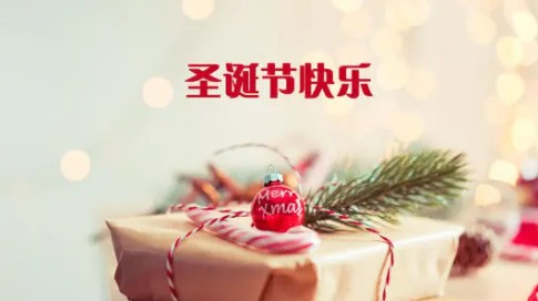 快乐圣诞节英语作文范文