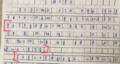 我与苍生作文800字叙事