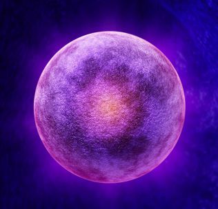 受精卵_卵受精了还会排卵吗_卵受精到着床多少天